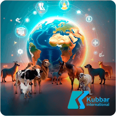 Casos exito - kubbar Casos exito - kubbar