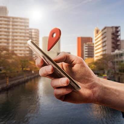 servicios seo local servicios seo local